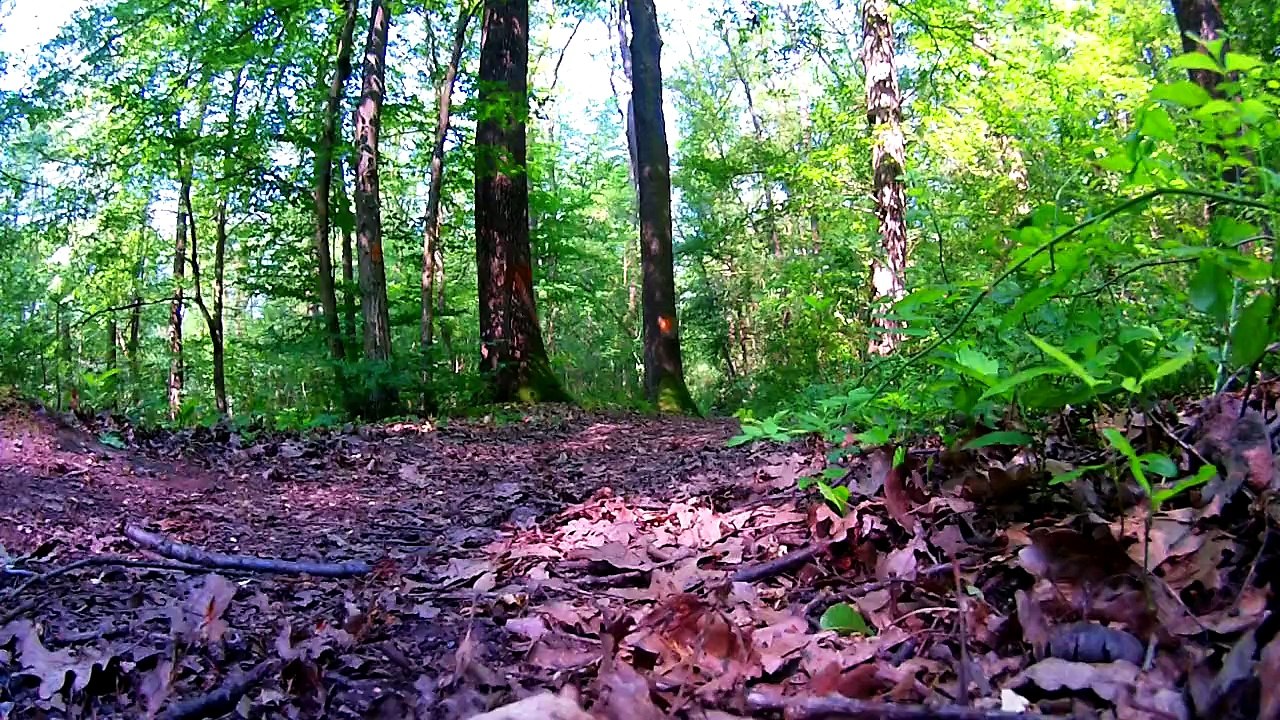 Singletrail stammheim