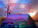corta como un cuchillo  Rockwell