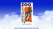 Cute Armadillos arrive at Newquay Zoo