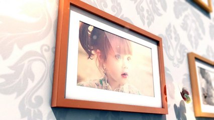 After Effects Project Files - Butterfly Photo wall - VideoHive 10360230