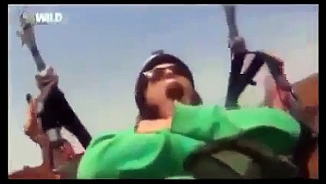 Amazing Discoveries of Unknown Animal Species 720p Documentary & Life Discovery HD