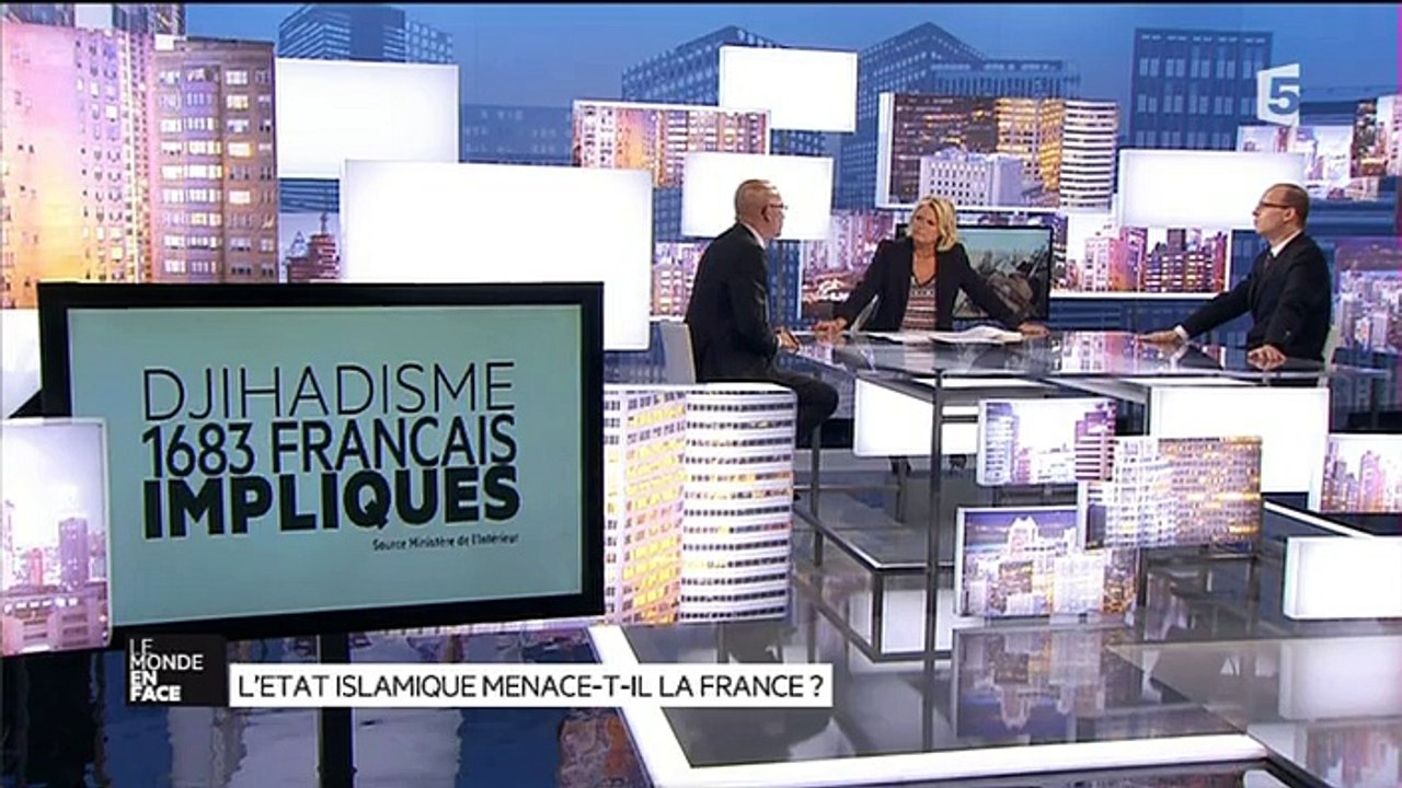 FRANCE 5 - LE MONDE EN FACE - LE DEBAT