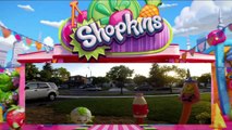 101 Ways to Destroy Shopkins - Ep2 - Frying Flower