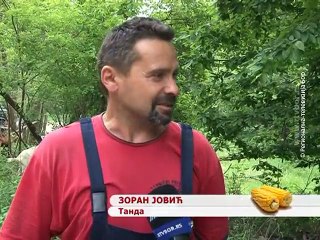 Selo moje, 07. jun 2015. (RTV Bor)