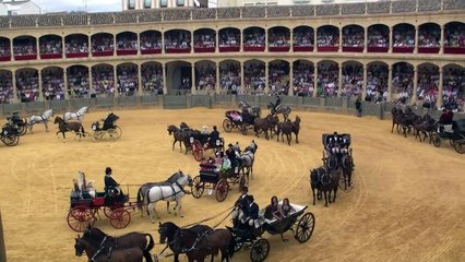 Horse show in Bull fight arena Ronda Spain