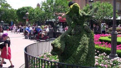 Florida Trip 2015 (Extended Version)