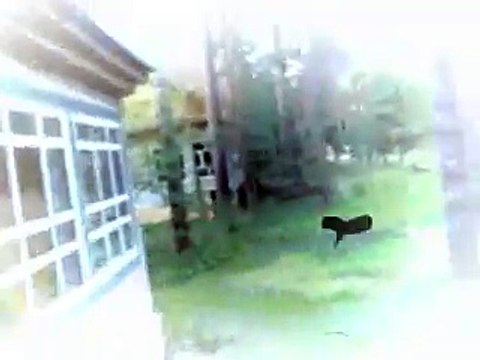 Лагерь-призрак (пионерский лагерь им. Щорса г. Унеча)