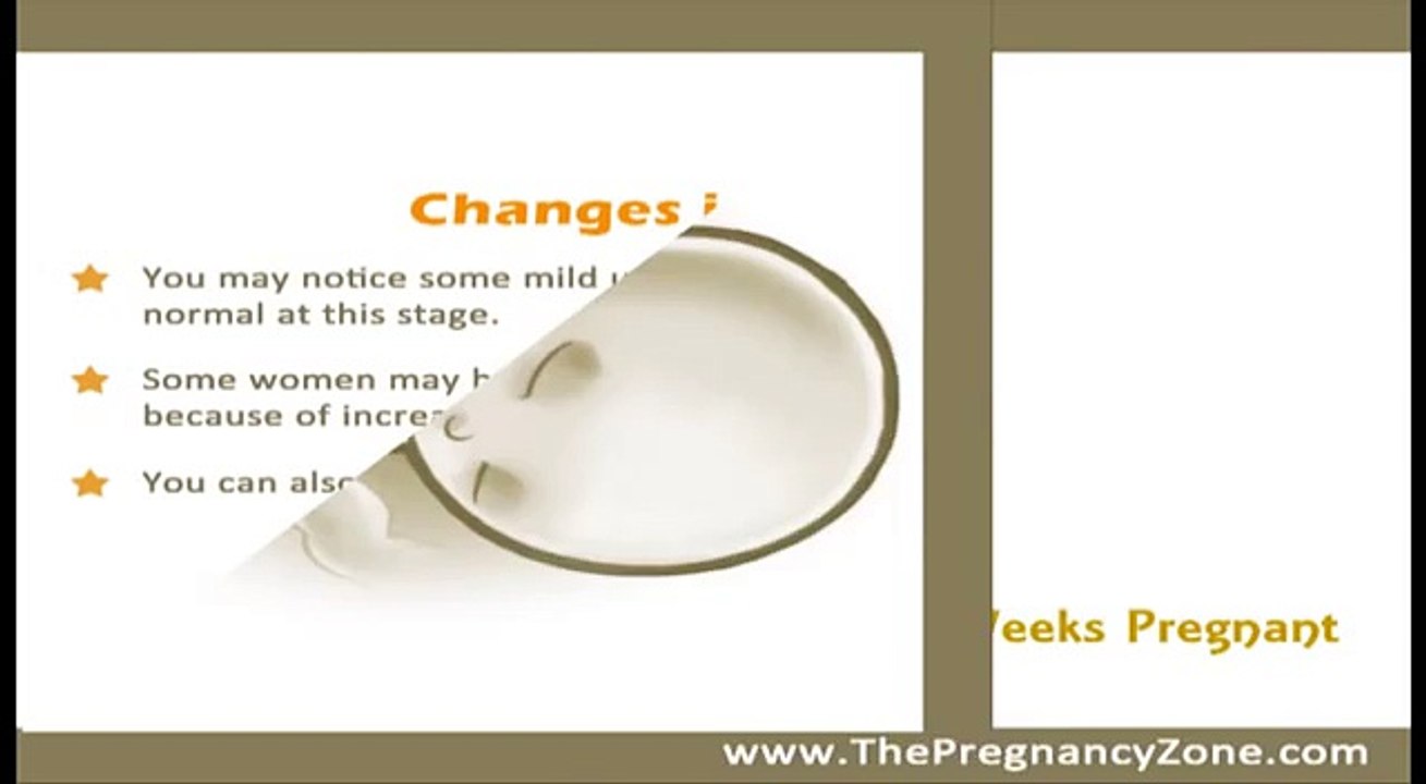 6 Months Pregnant - Week by Week Pregnancy