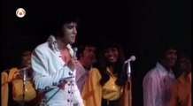 Les fous rires et autres blagues d'Elvis Presley