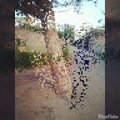 Exciting Rabwah Parkour Flip Challenge 🏃‍♂️