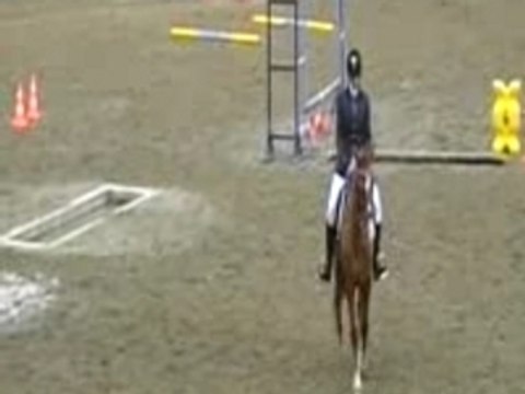 Capelle les boulognes, E1