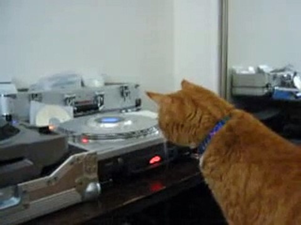 DJ Chip