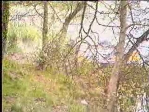 Rally - Opel Manta Crash