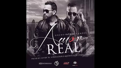 Gocho Ft Yandel "Amor Real" (Acapella)