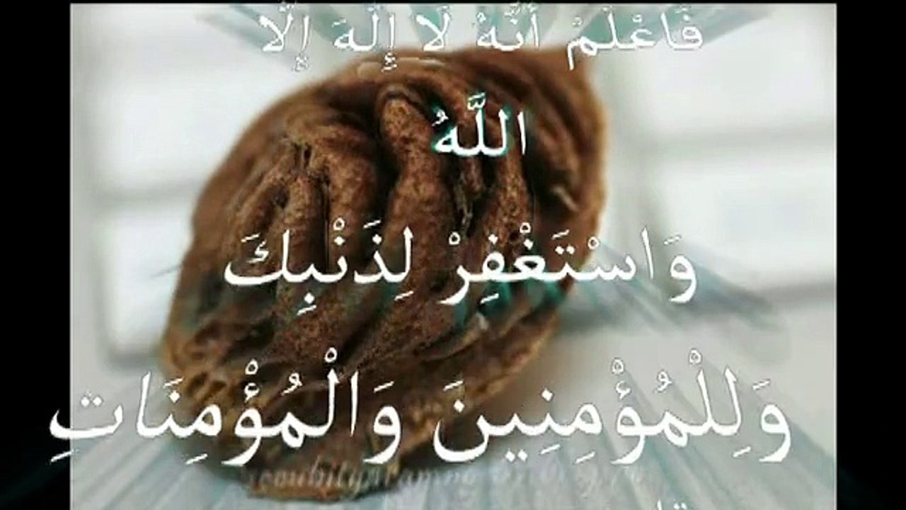 miracle of allah معجزات الله في خلقه سبحان الله لن تصدق ما سترى والله سوف تذهل