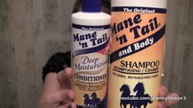 Best Shampoos & Conditioners for Dry and Damaged Hair