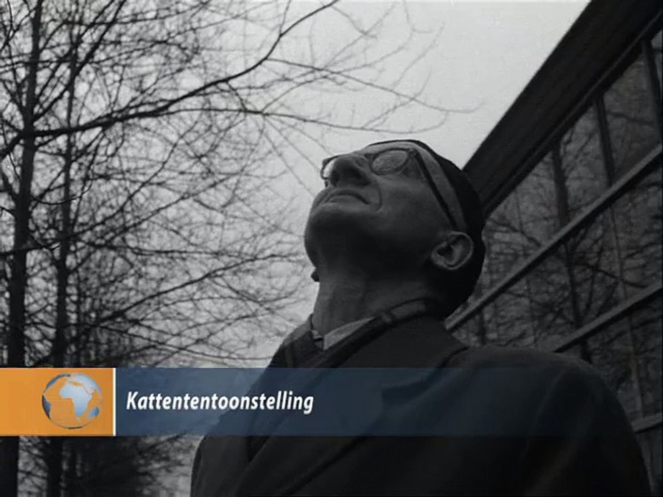 Kattententoonstelling - 1957