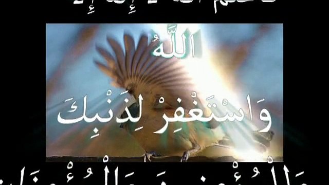 new islamic miracle عجائب وغرائب العالم ومشاهد عجيبة وغريبة