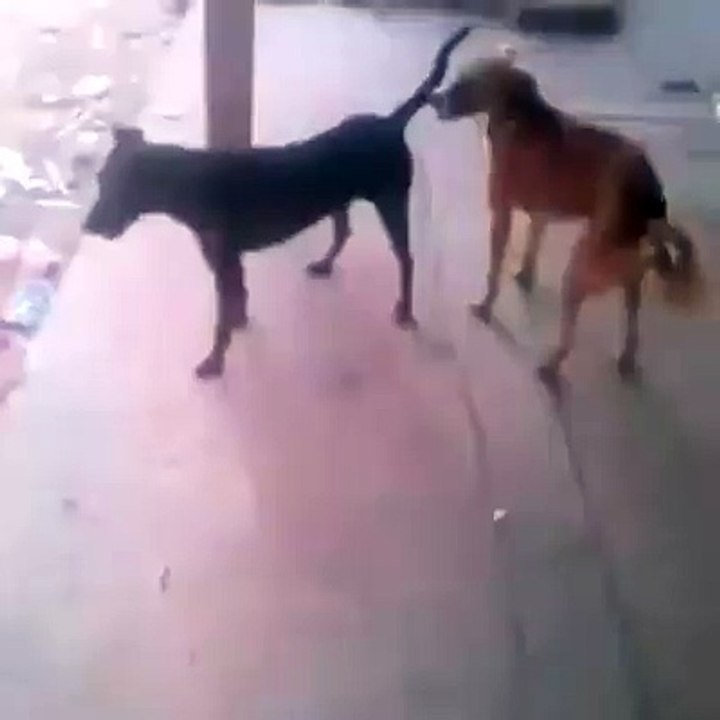 Menea la Chapa