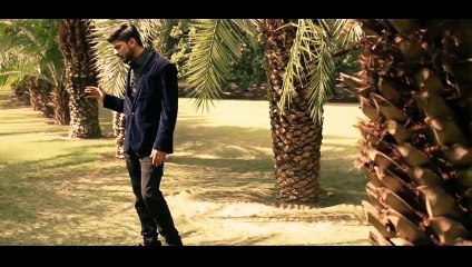 Dil De Nairay Arslan Aslam Latest Music Video