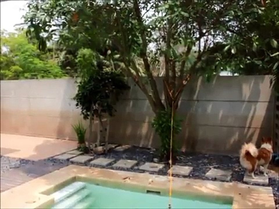 Transformer sa piscine en piscine sans fin