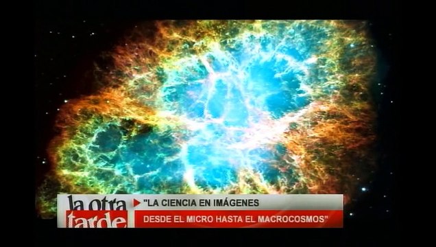La ciencia en imágenes, desde el microcosmos hasta el macrocosmos.