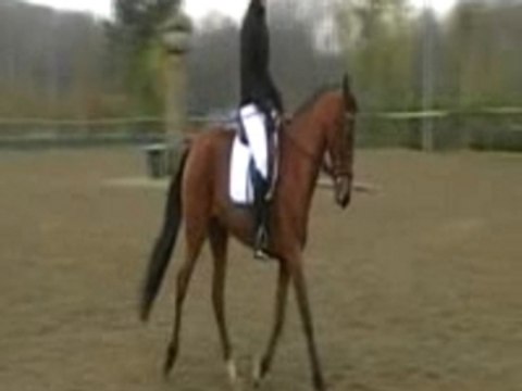 Capelle les boulognes, E1 Nina