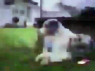 Hahaha Dog Is smoking Check it out very Funny