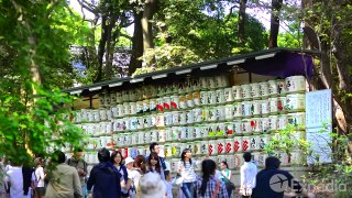 Tokyo Vacation Travel Guide   Expedia