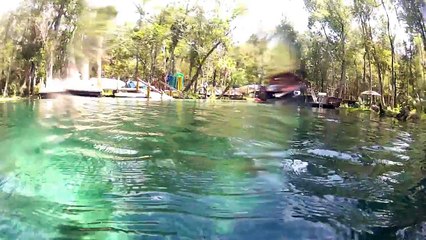 Underwater Shots of Gissy Springs