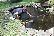 Separating fish and the Spawning