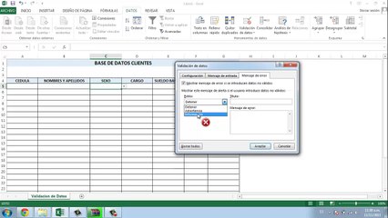 Curso en Excel 2013 - Capitulo 9 (Validación de Datos)