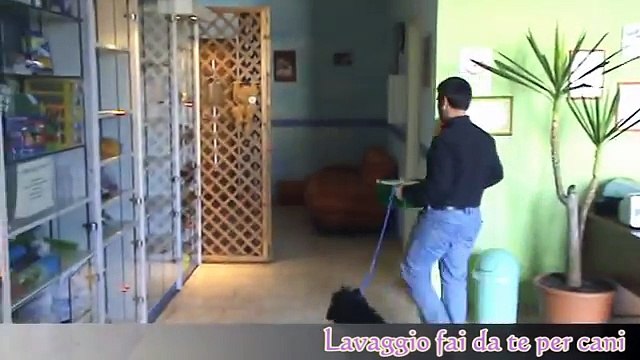 Lavaggio Fai-Da-Te per cani!!!.