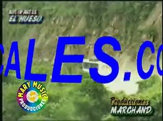 SONIDO 2000- Mi cariñito