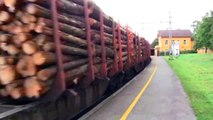 Hectorrail 161 og 941 på vei til Sverige med et langt å tungt tømmertog