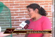 RECOLECCION DE CHAPULINES EN SANTA MARIA ZACATEPEC