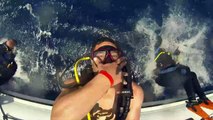 Costa Rica Scuba Diving - Guanacaste Region