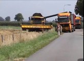 Farming in Holland - Summer 2008 I