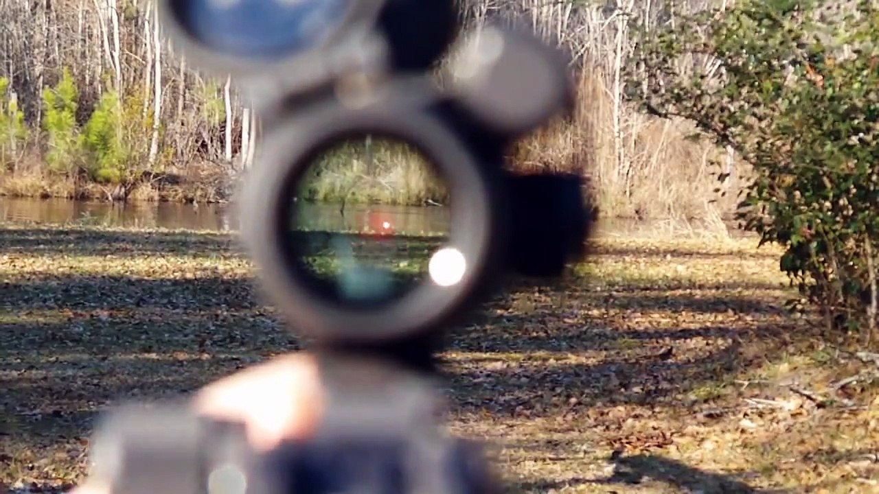 Aimpoint PRO Review