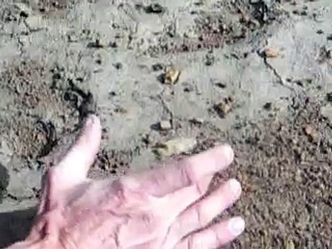 Arrowhead Hunting Colorado - Pelican Lake point