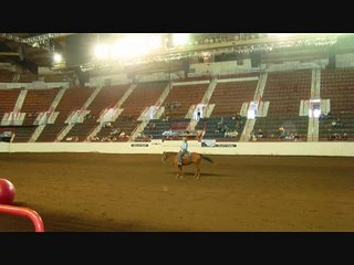 PA horse World Expo 2010!