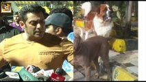 Salman Khan's pet 'SAINT' passes away, buries his dog at his farmhouse