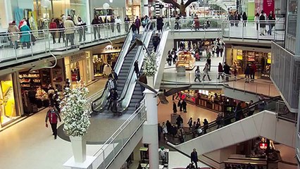 CozyEarth Premium Bamboo Bedding