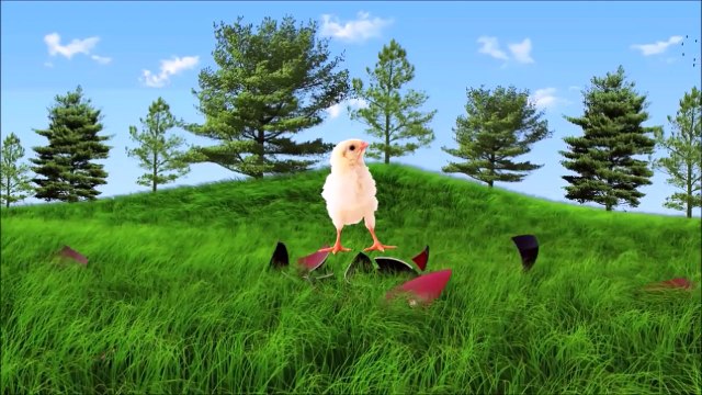 Инкубатор ТГБ - вывод&Цыпленок вертолет