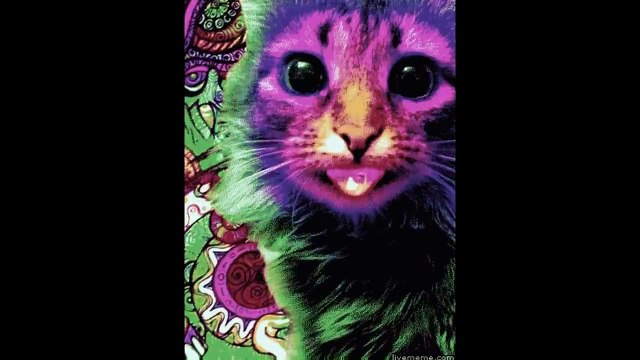 GIF With Sound Mashup Compilation #6 GIFS with sound #6 2015