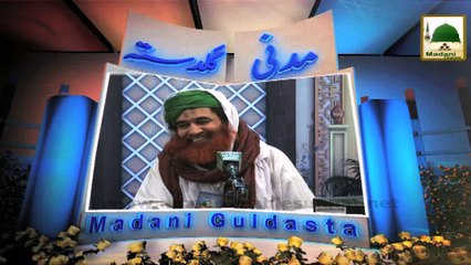 Bad Nigahi Ka Azab - Maulana Ilyas Qadri - Madani Guldasta 465