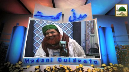 Chand Aur Suraj Girhan - Maulana Ilyas Qadri - Madani Guldasta 66