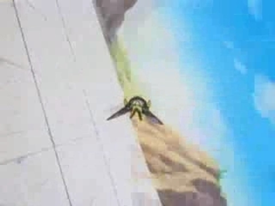 DBZ Speed