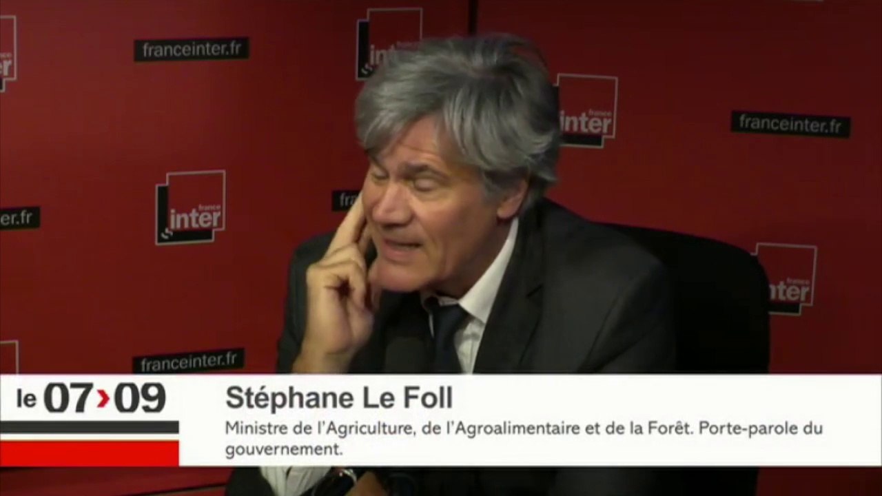 Stéphane Le Foll "sidéré" par la tribune d'Arna...