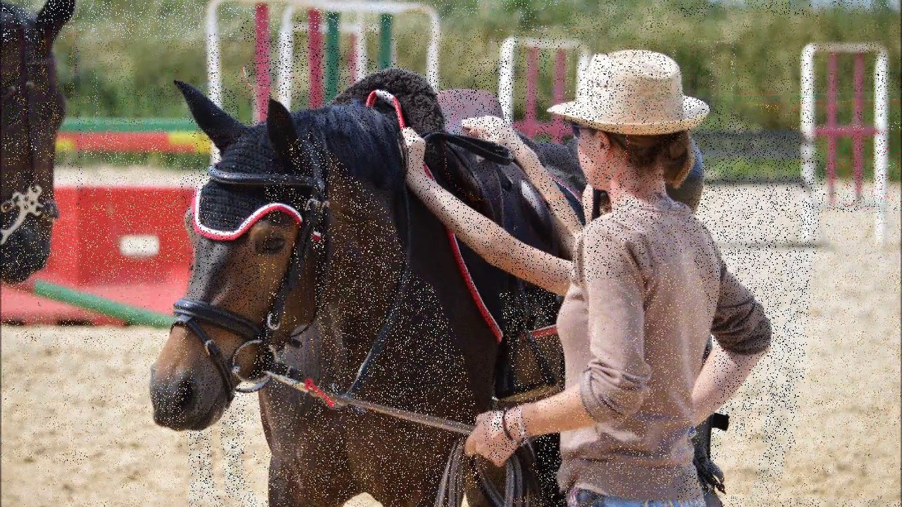 2e séance obstacle Addiction/Pierre-Louis 07/06/2015